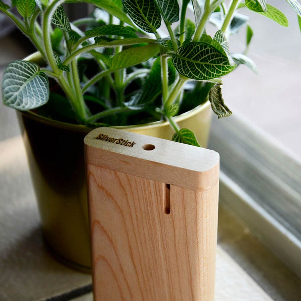 Maple Dugout - Image 4